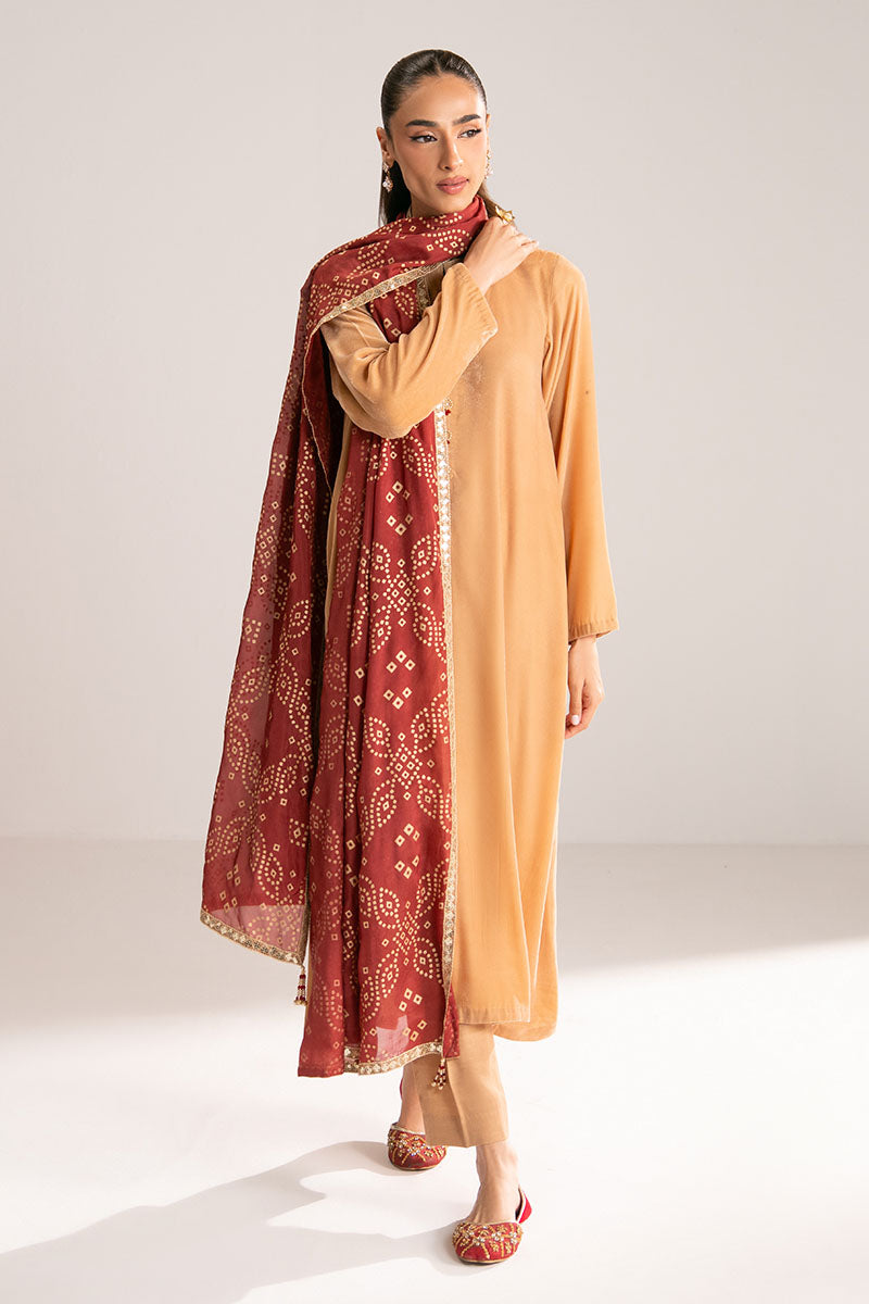SAFFRON DUST-2PC (SHIRT & DUPATTA) - Pehnaawaa