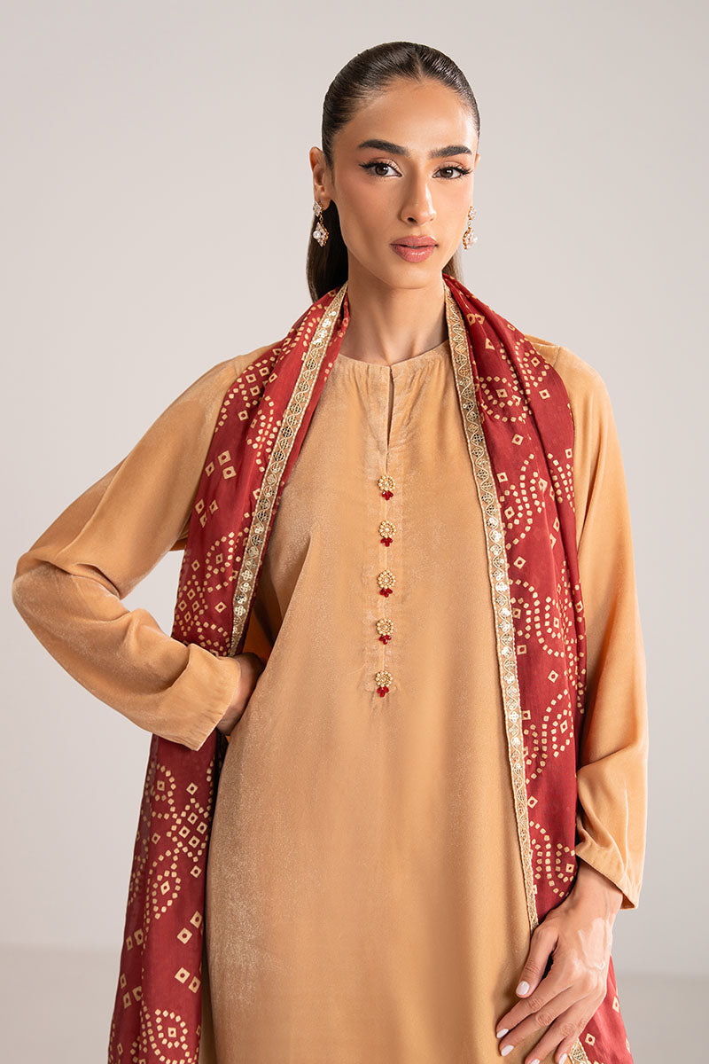 SAFFRON DUST-2PC (SHIRT & DUPATTA) - Pehnaawaa