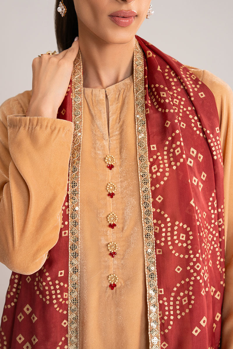 SAFFRON DUST-2PC (SHIRT & DUPATTA) - Pehnaawaa