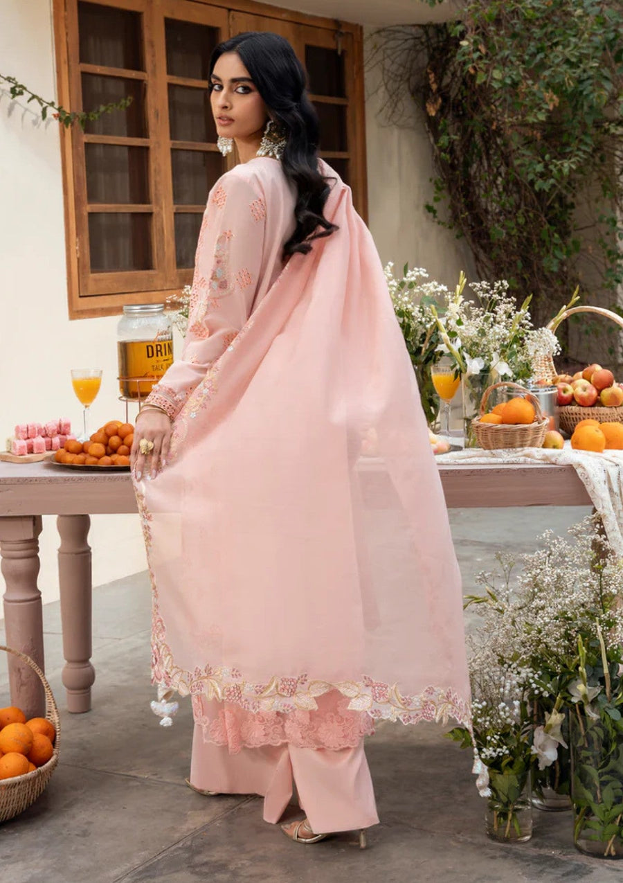 Peach Blossom Chikankari Embroidered Lawn Suit with Cotton Net Dupatta - Pehnaawaa
