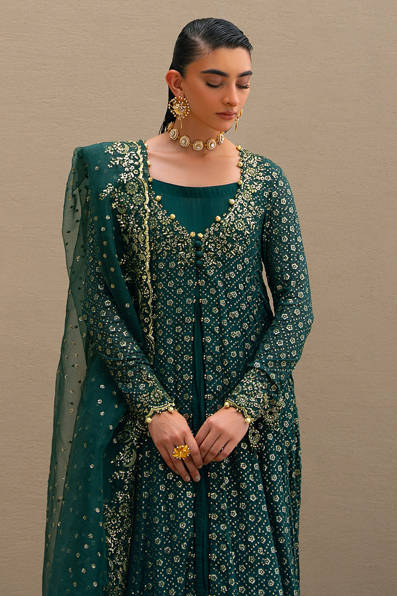 GREEN SPRING-3PC CHIFFON EMBROIDERED PRET - Pehnaawaa