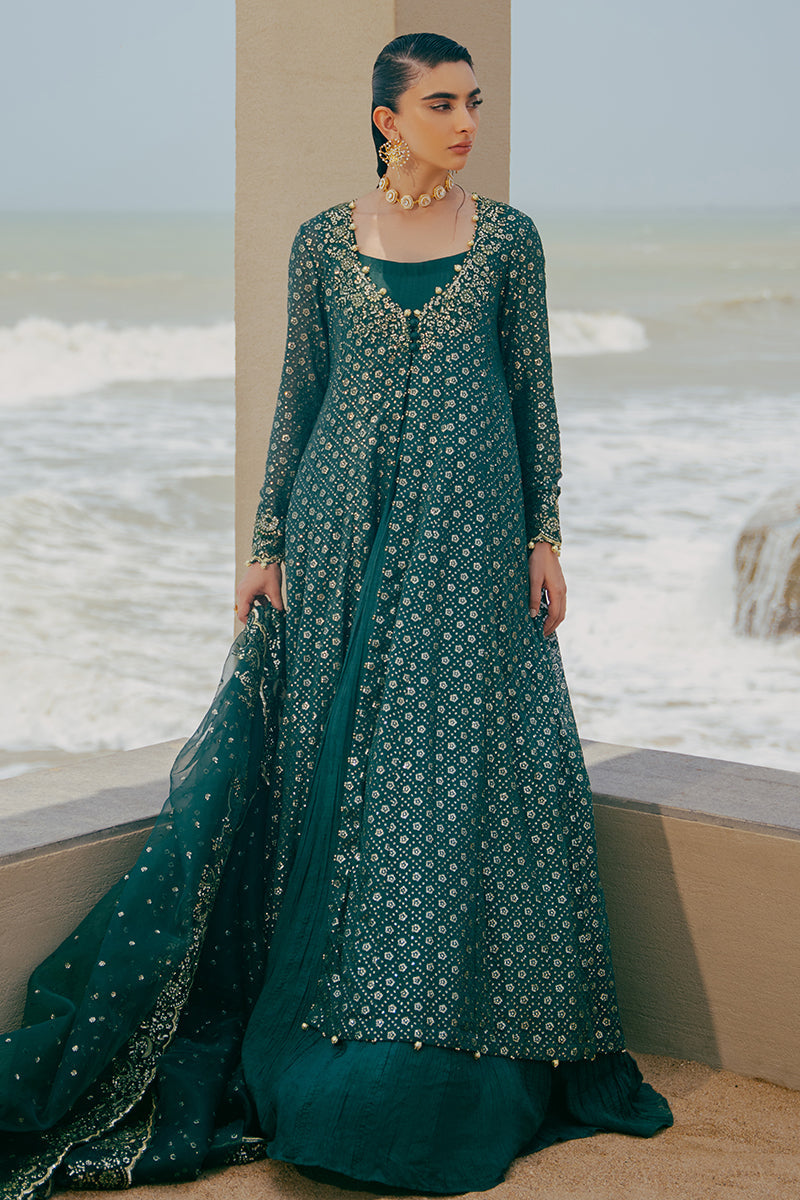 GREEN SPRING-3PC CHIFFON EMBROIDERED PRET - Pehnaawaa
