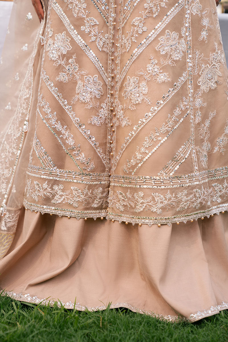 BRONZE BLAZE-3PC ORGANZA EMBROIDERED PRET - Pehnaawaa