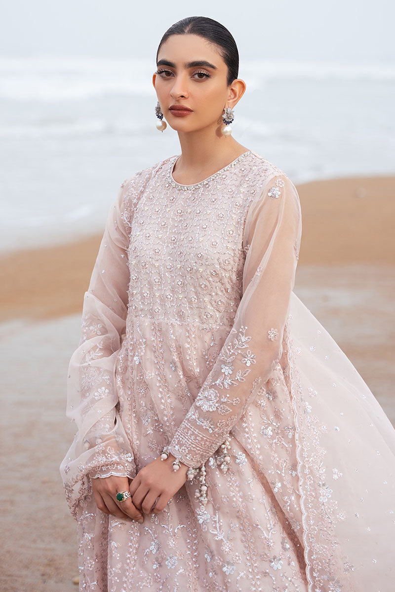 CARNATION CHARM-2PC ORGANZA EMBROIDERED PRET - Pehnaawaa