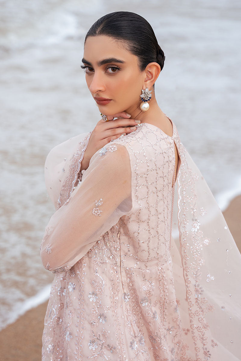 CARNATION CHARM-2PC ORGANZA EMBROIDERED PRET - Pehnaawaa