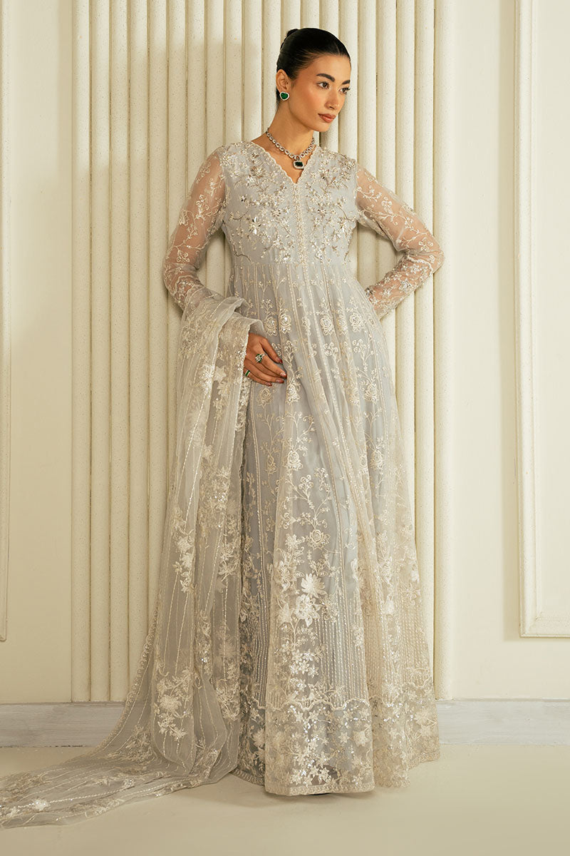WHISPERING BLUE-2PC ORGANZA EMBROIDERED PRET - Pehnaawaa