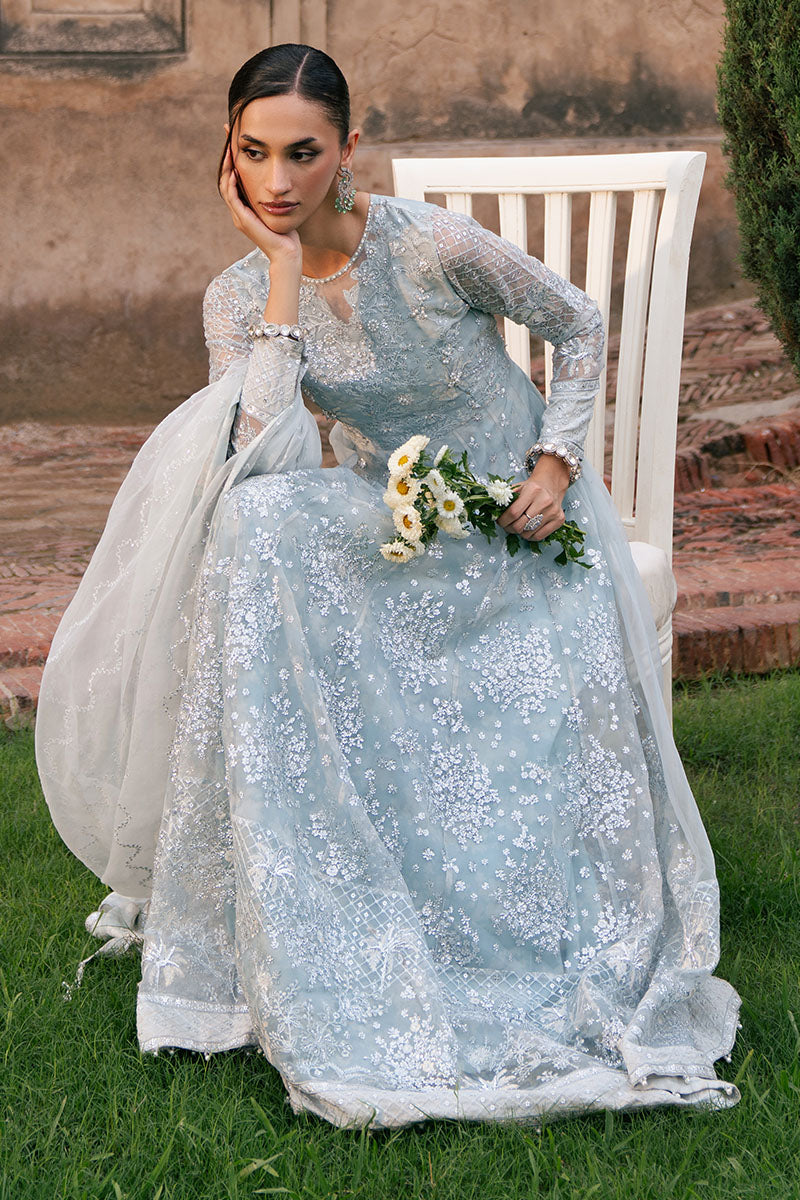 ROYAL GLINT-2PC ORGANZA EMBROIDERED PRET - Pehnaawaa