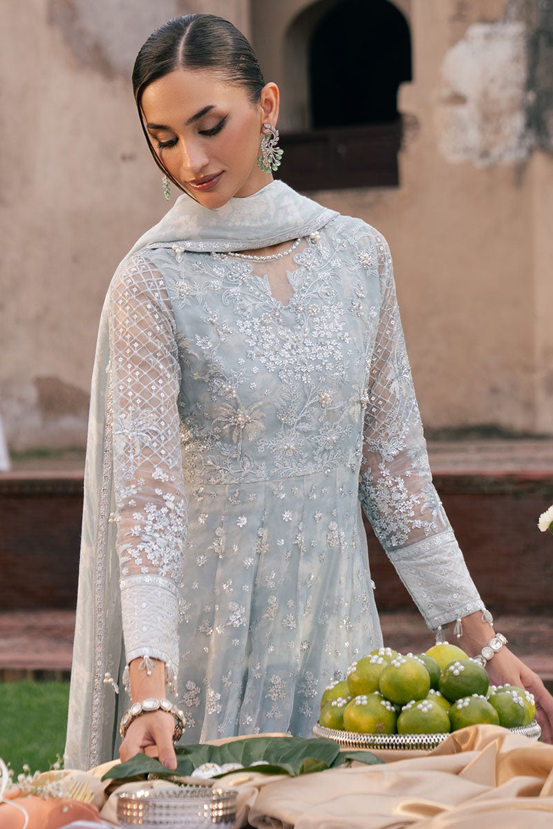 ROYAL GLINT-2PC ORGANZA EMBROIDERED PRET - Pehnaawaa