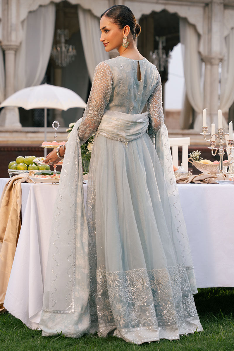 ROYAL GLINT-2PC ORGANZA EMBROIDERED PRET - Pehnaawaa