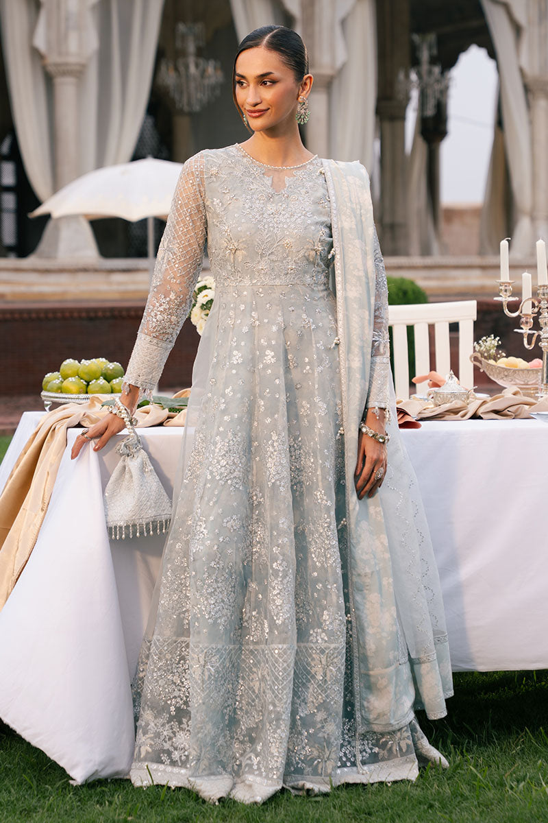 ROYAL GLINT-2PC ORGANZA EMBROIDERED PRET - Pehnaawaa
