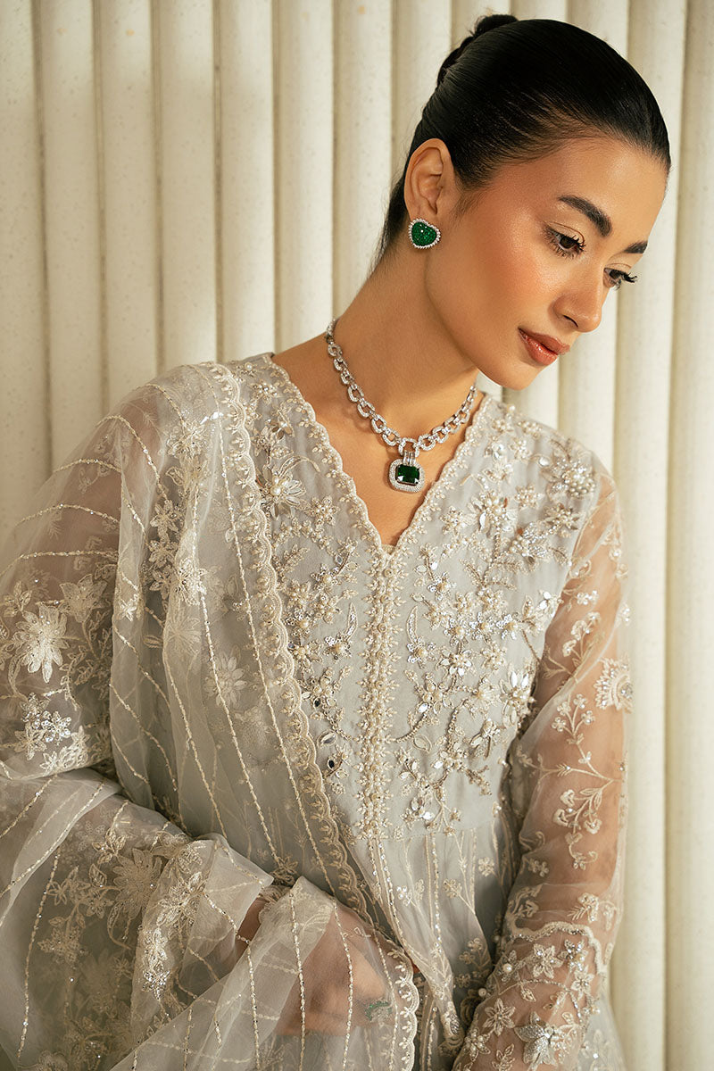 WHISPERING BLUE-2PC ORGANZA EMBROIDERED PRET - Pehnaawaa