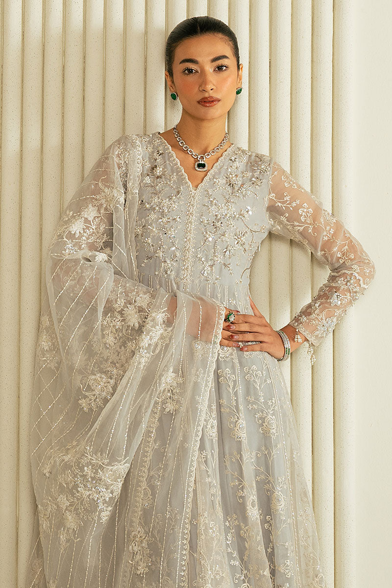 WHISPERING BLUE-2PC ORGANZA EMBROIDERED PRET - Pehnaawaa