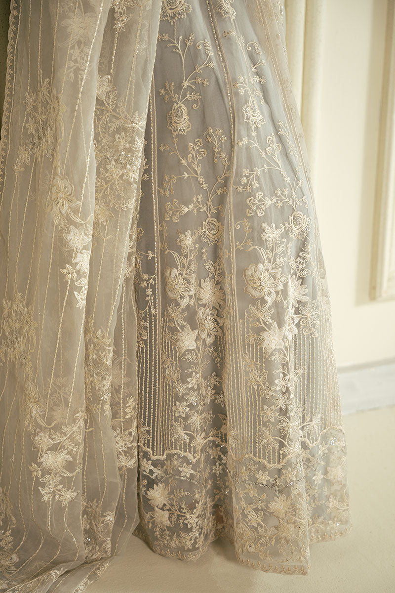 WHISPERING BLUE-2PC ORGANZA EMBROIDERED PRET - Pehnaawaa
