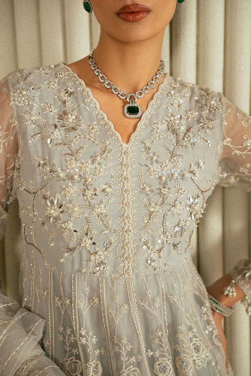 WHISPERING BLUE-2PC ORGANZA EMBROIDERED PRET - Pehnaawaa