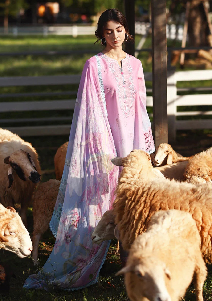 Faint Blossom Ombre Chikankari Lawn Suit with Digital Printed Chiffon Dupatta - Pehnaawaa