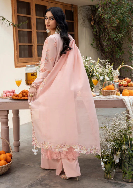Peach Blossom Chikankari Embroidered Lawn Suit with Cotton Net Dupatta - Pehnaawaa