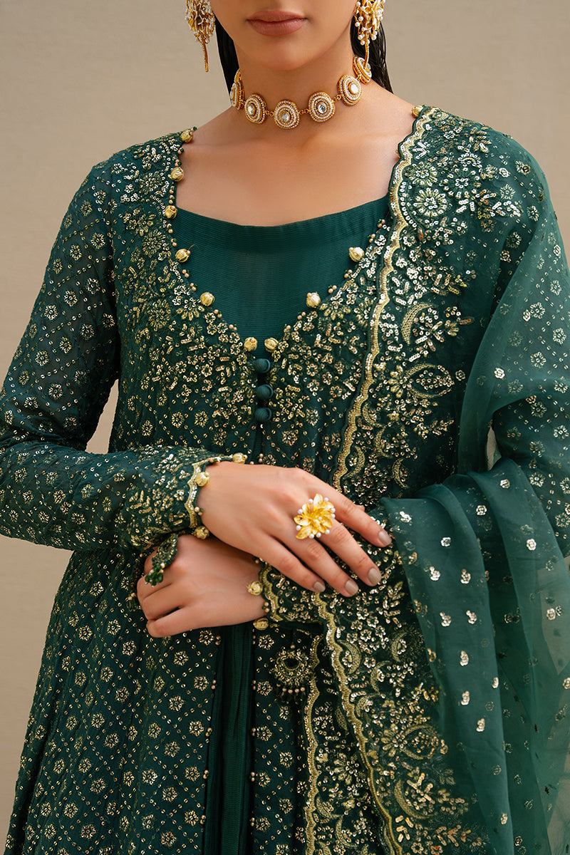 GREEN SPRING-3PC CHIFFON EMBROIDERED PRET - Pehnaawaa