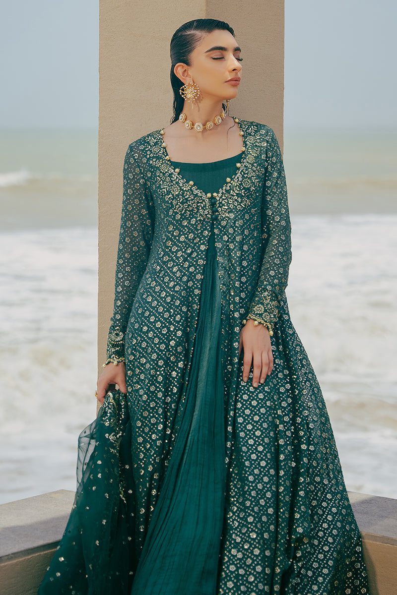 GREEN SPRING-3PC CHIFFON EMBROIDERED PRET - Pehnaawaa