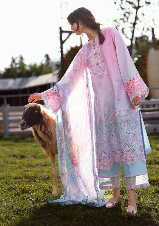 Faint Blossom Ombre Chikankari Lawn Suit with Digital Printed Chiffon Dupatta - Pehnaawaa