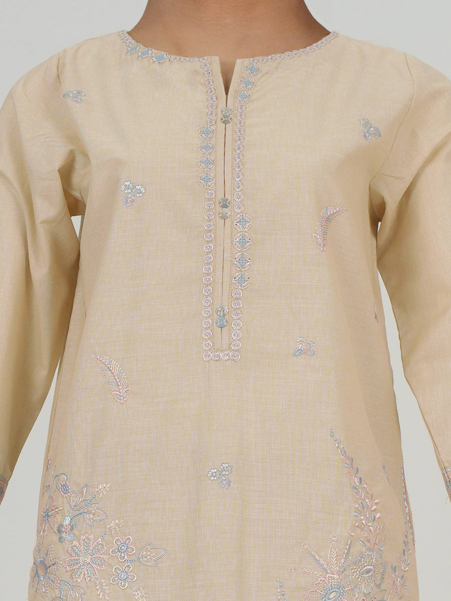 Yarn Dyed Kurti- Embroidered (Pret) - Pehnaawaa