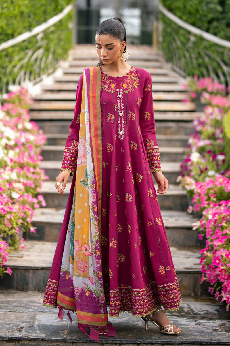AF-EL-7070-Riya