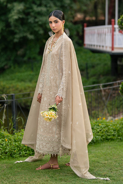 AF-EL-7069-Drape