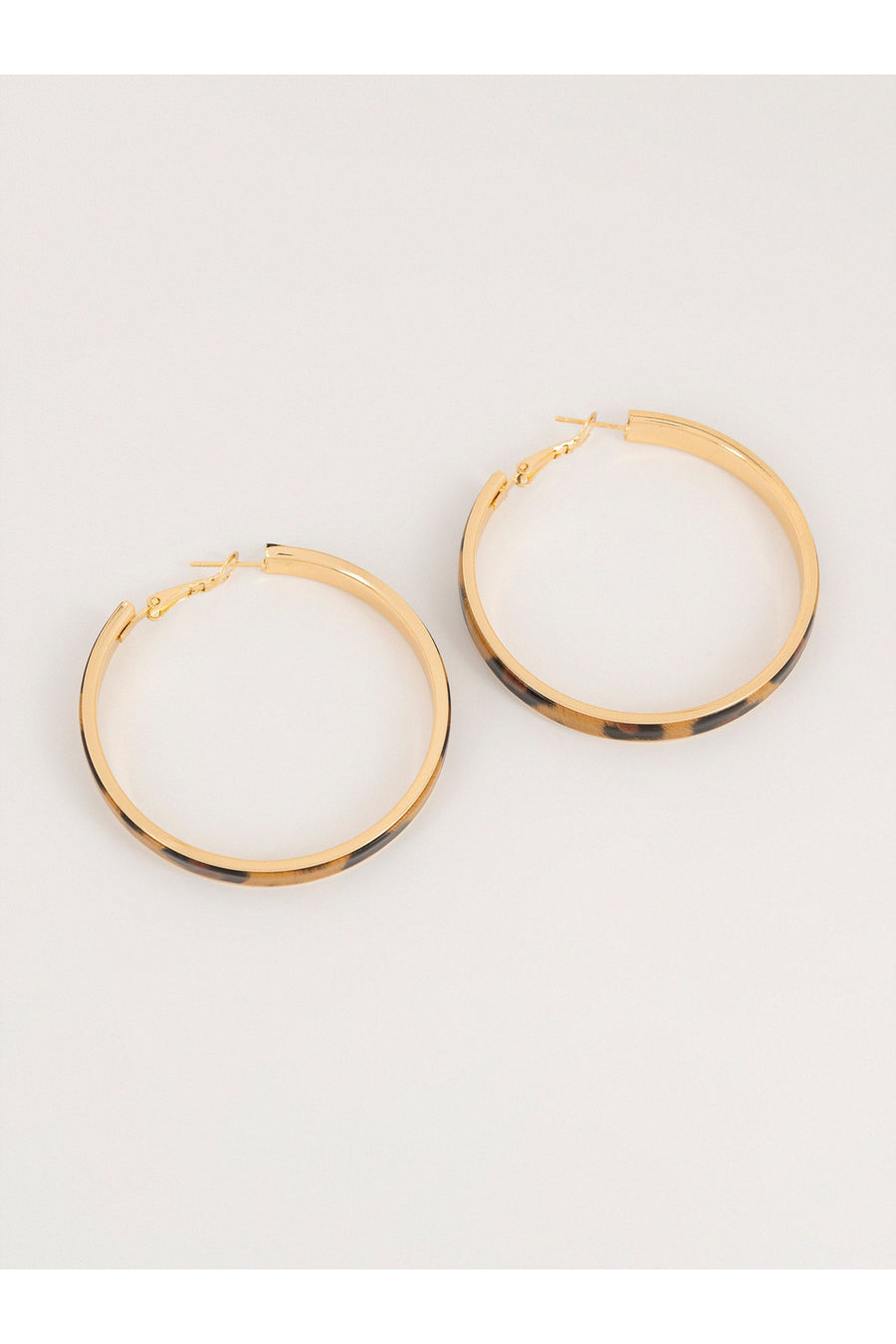All Season Elegant Hoop Shell Earrings