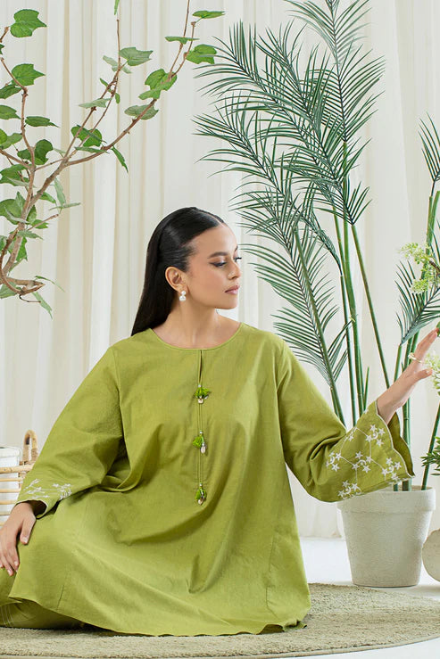2 Piece - Embroidered Lawn Suit P001131