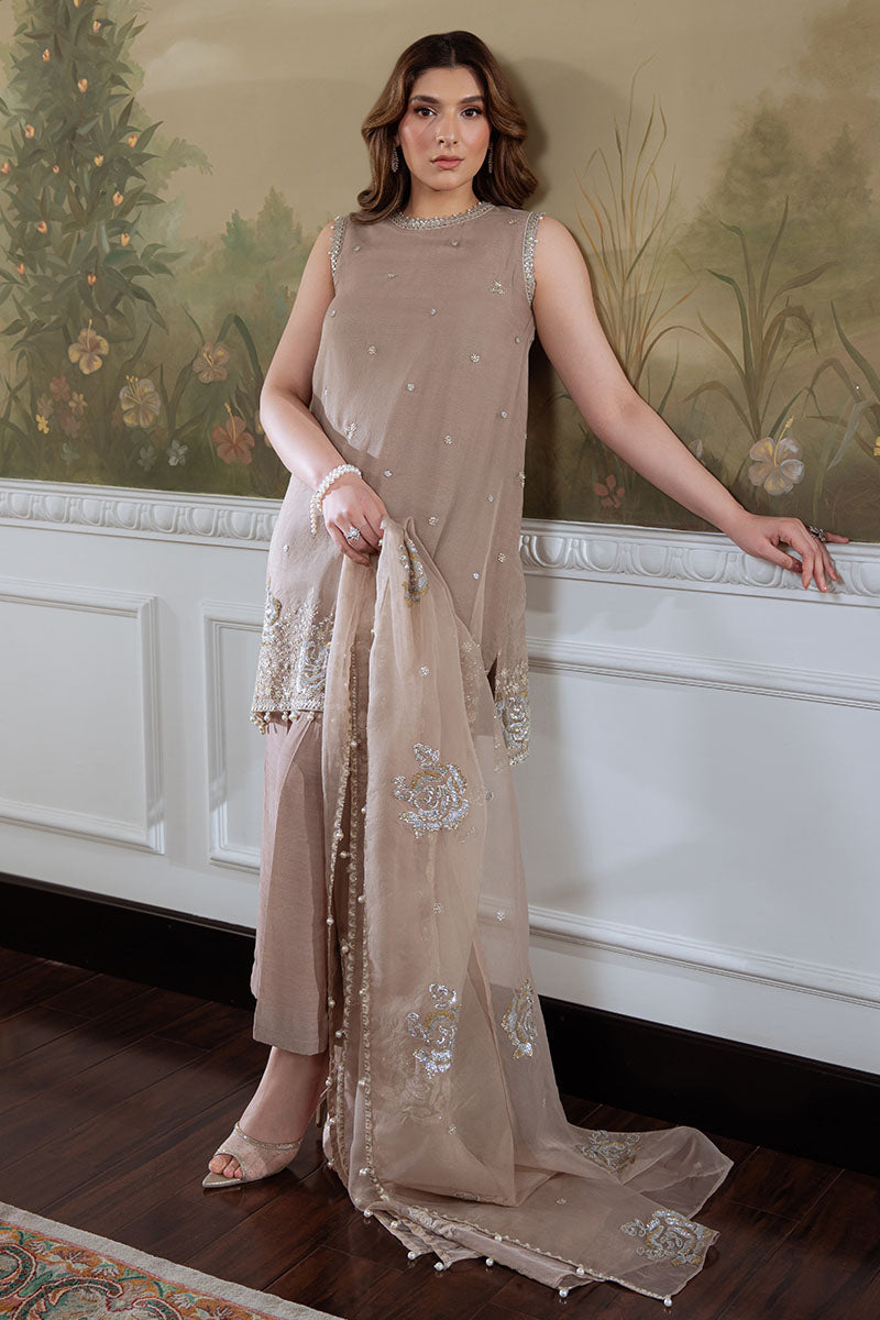 SILVER MINK-4PC ORGANZA EMBROIDERED PRET - Pehnaawaa
