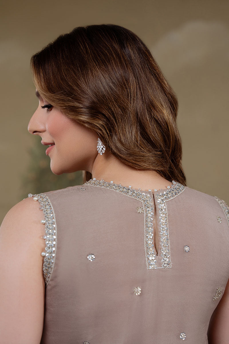 SILVER MINK-4PC ORGANZA EMBROIDERED PRET - Pehnaawaa
