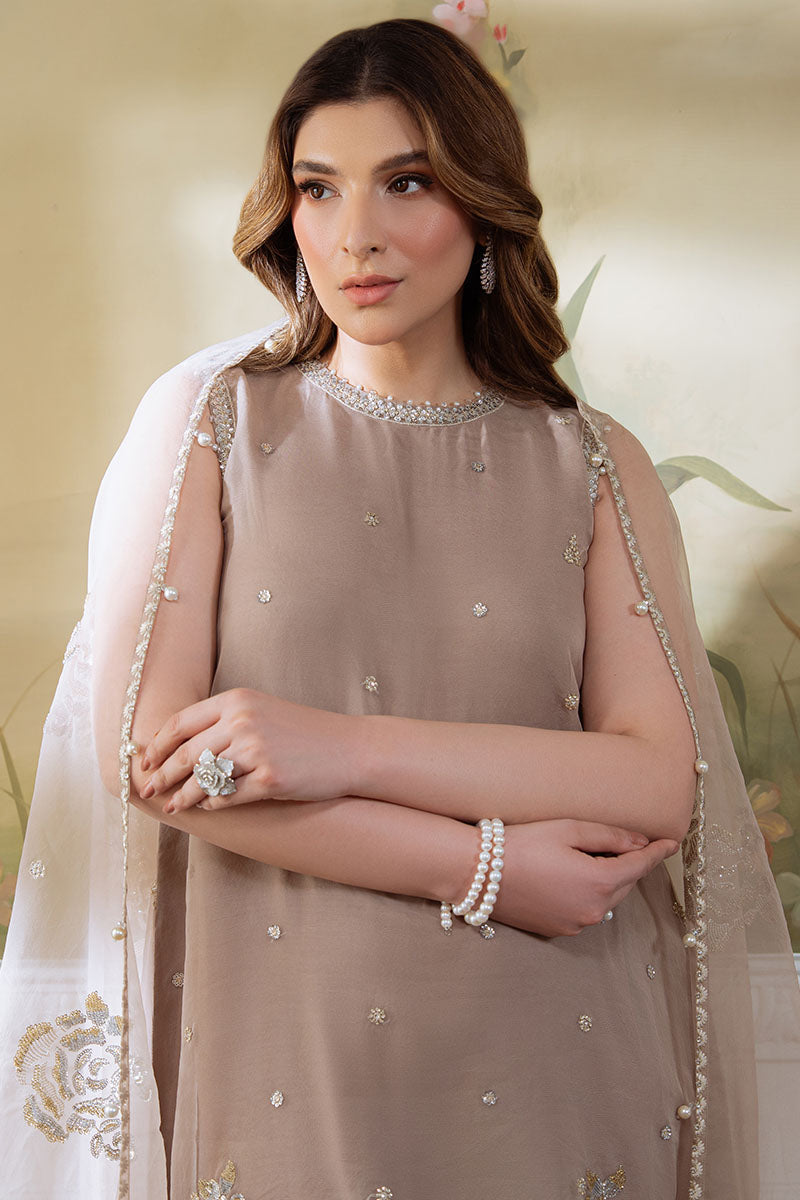 SILVER MINK-4PC ORGANZA EMBROIDERED PRET - Pehnaawaa