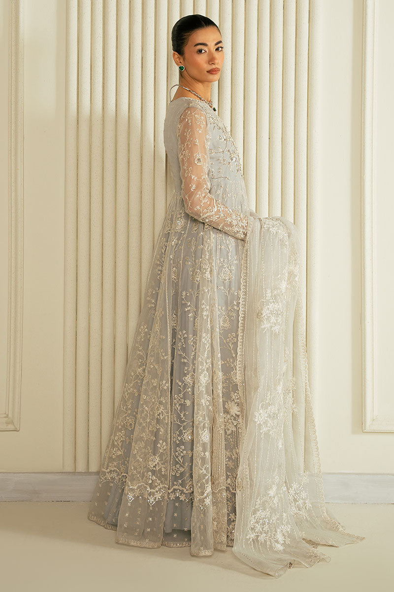 WHISPERING BLUE-2PC ORGANZA EMBROIDERED PRET - Pehnaawaa