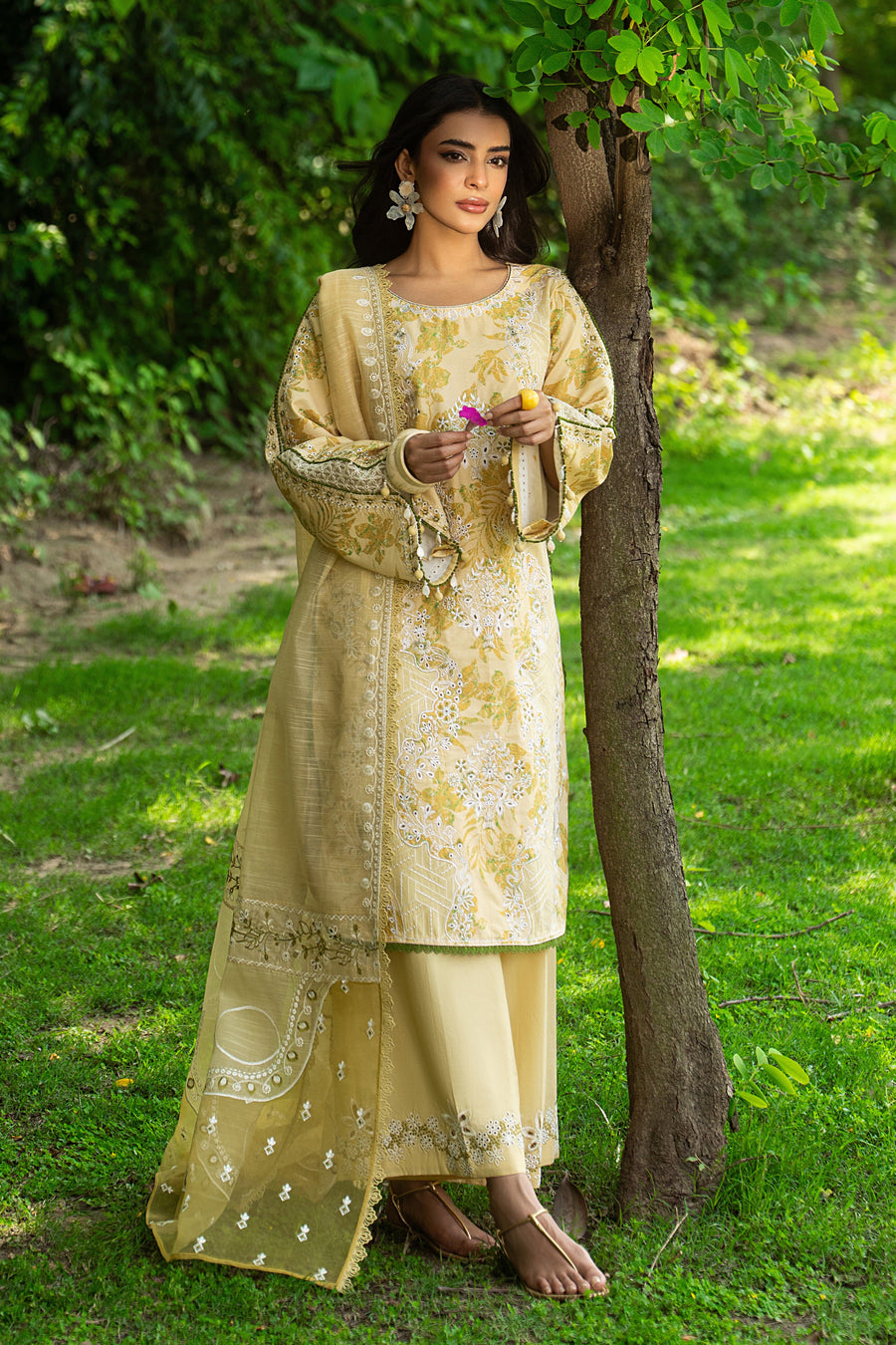 Ashfi